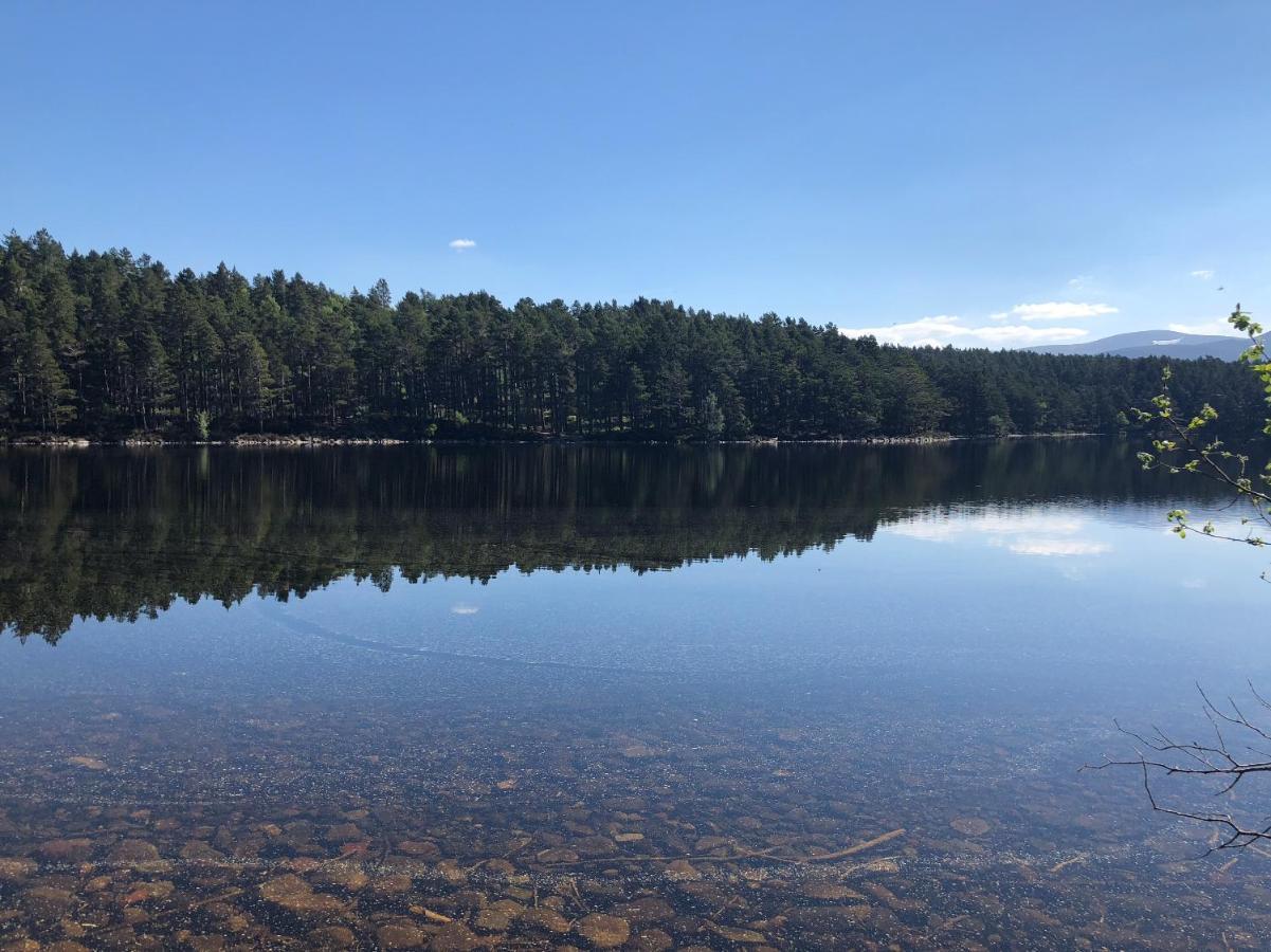 81 The Heathers, Aviemore Holiday Park , Dalfaber Rd Aviemore Ph22 1Px 外观 照片